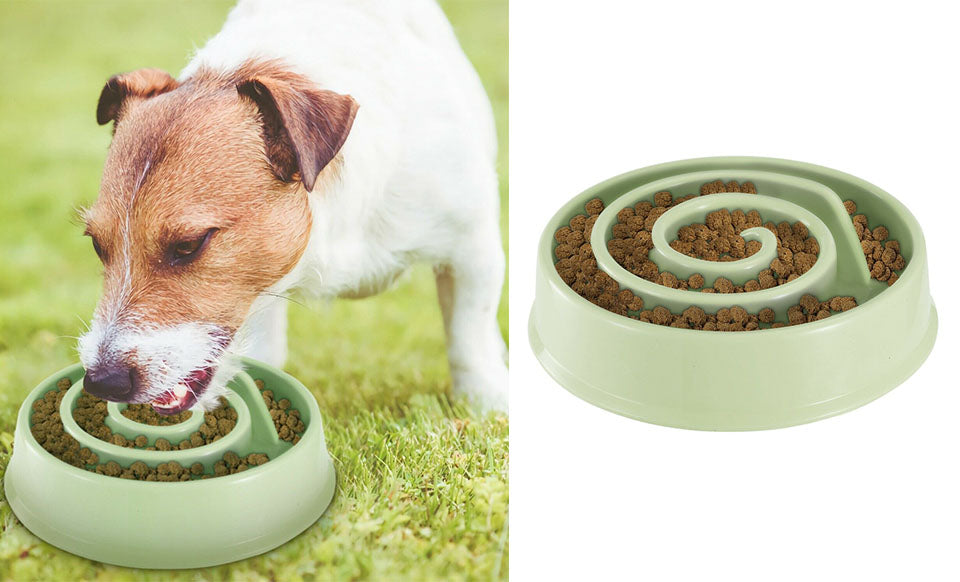 Pet Slow Feeder Bowl Dog Puppy Cat Slow Eating Dish Bowl Anti