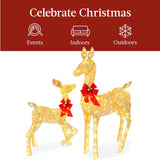 2-Piece Lighted Christmas Deer Family, Outdoor Yard Decoration Set with 210 LED Lights, Stakes, Zip Ties