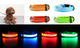 Safety LED Pet Dog Collar Nightlight