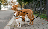 2 Way Dual Nylon No Tangle Dog Leash