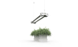 Full Spectrum LED Grow Lights
