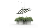 Full Spectrum LED Grow Lights