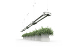 Full Spectrum LED Grow Lights
