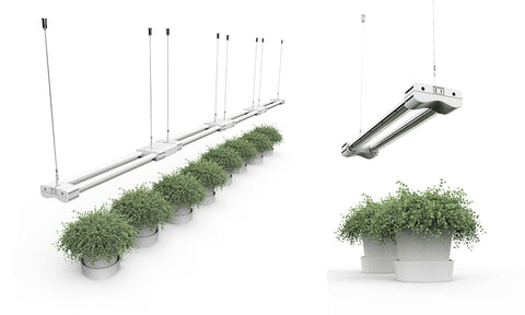 Full Spectrum LED Grow Lights