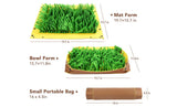 Interactive Snuffle Mat for Pets Feeding Game Skill